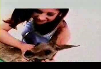 Buffy · Other