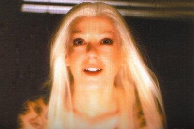 Willow